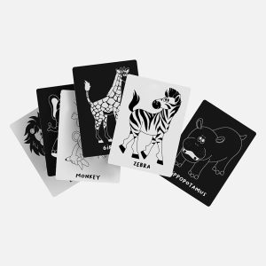 Art Cards