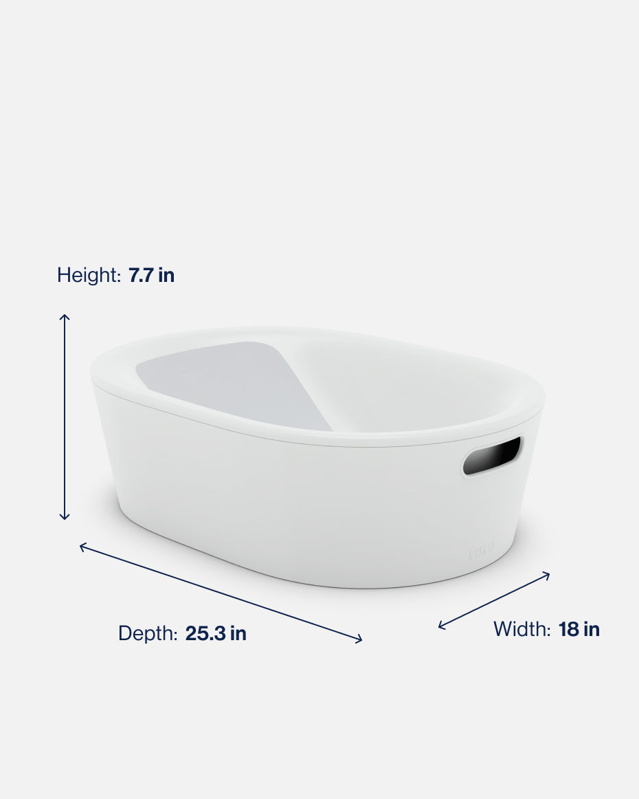 The Bath Tub - Image 20