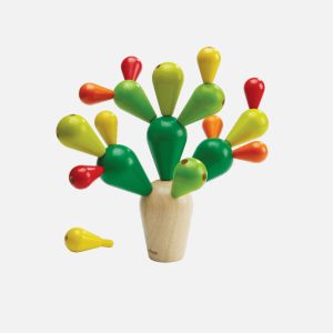 Balancing Cactus
