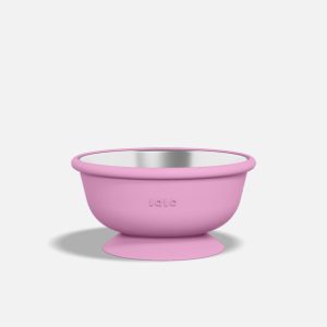Stainless Suction Bowl