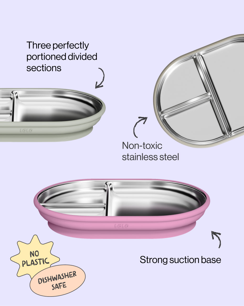 Stainless Suction Plate - Image 8