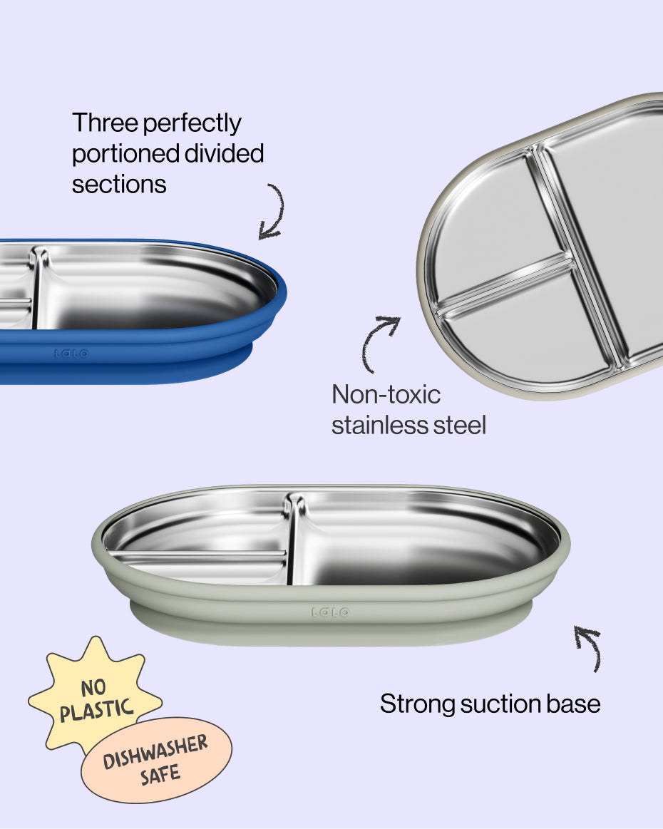 Stainless Suction Plate - Image 4