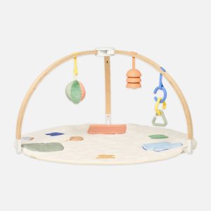 The Play Gym II